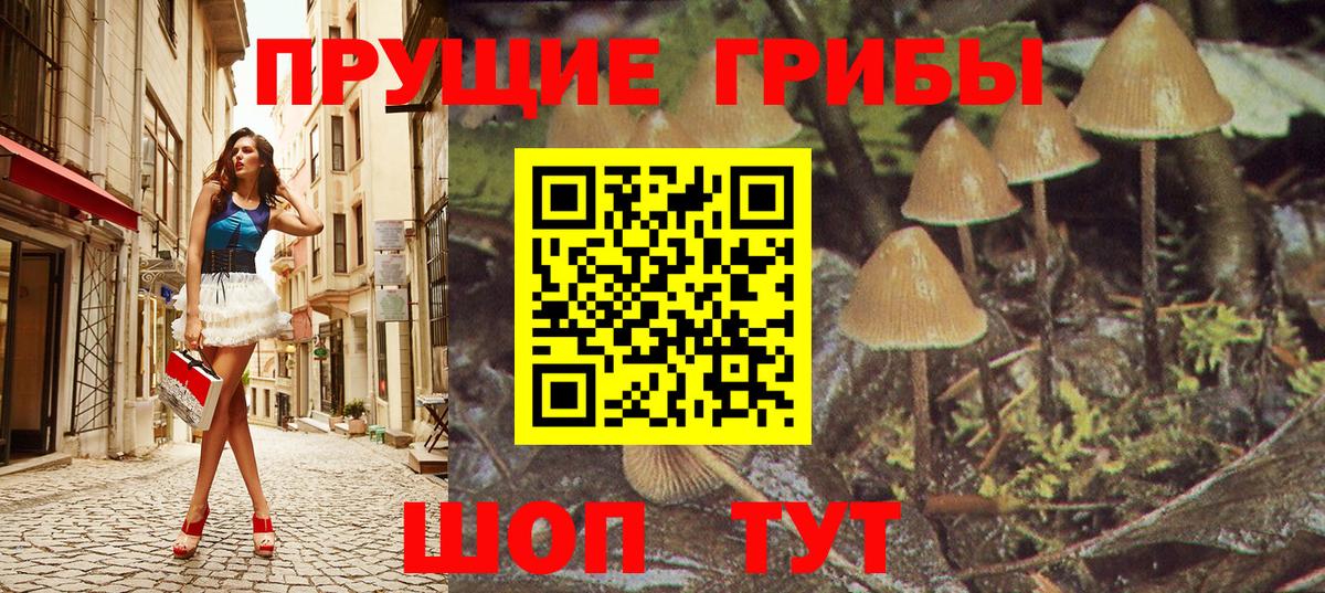 Псилоцибиновые грибы прущие грибы Мирный