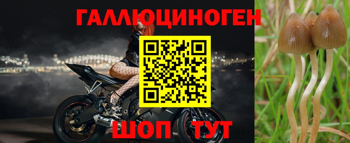 Галлюциногенные грибы Magic Shrooms  Псилоцибиновые грибы GOLDEN TEACHER  Вход с VPN  Мирный 