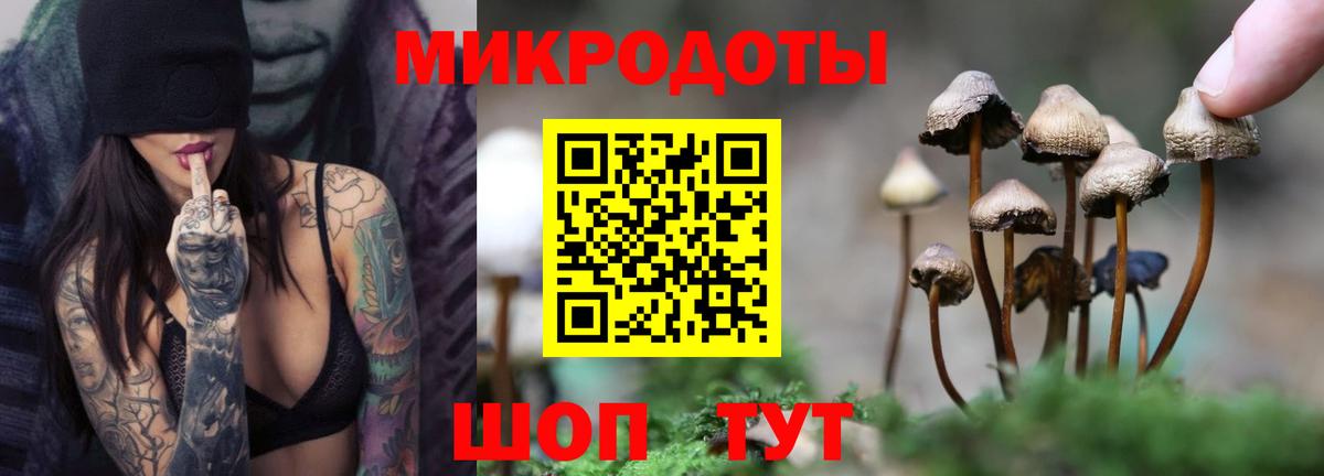 Галлюциногенные грибы мухоморы Мирный